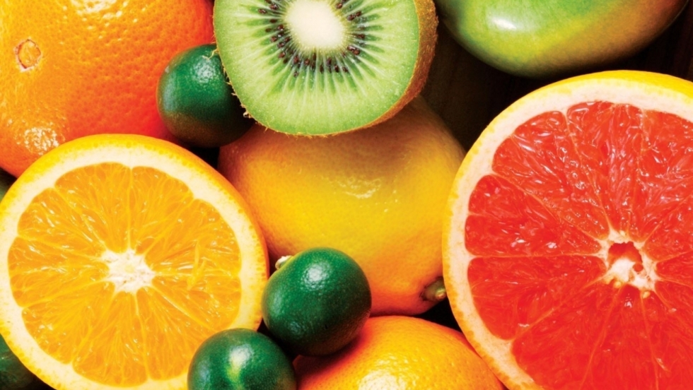 Uspostavlja se Centar kompetencija za agrume