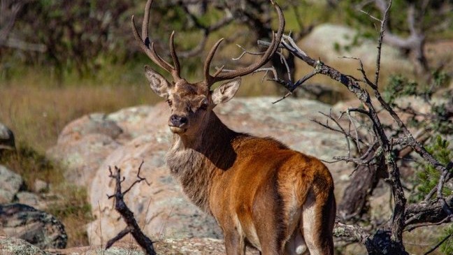 Zagrebačka županija raspisala javni poziv za razvoj lovstva i ribarstva