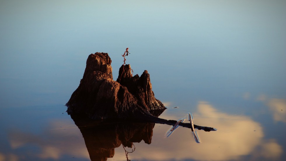 Otvorenje izložbe „Volim svoju županiju“ u Čakovcu