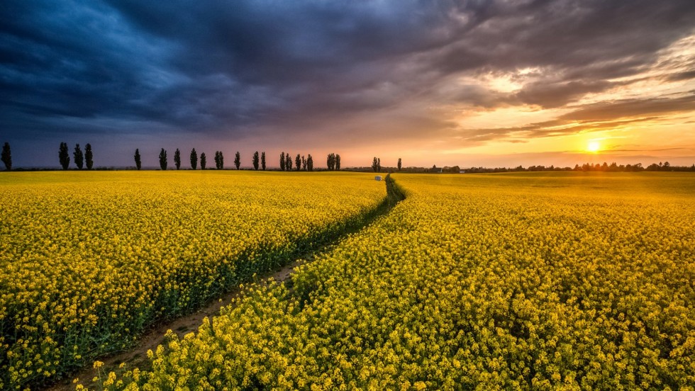 Izložba "Volim svoju županiju" stiže u Osijek