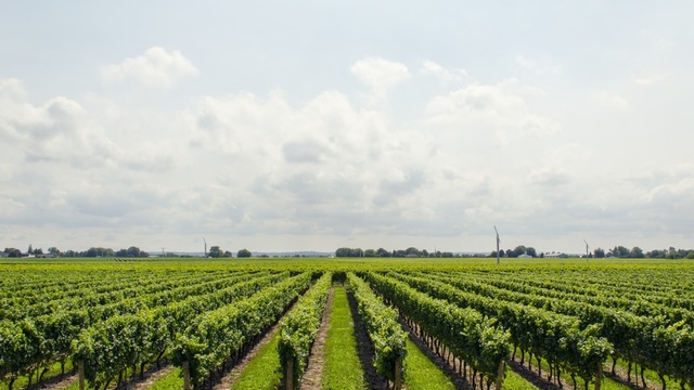 Za razvoj ruralnog turizma više od milijardu i pol kuna
