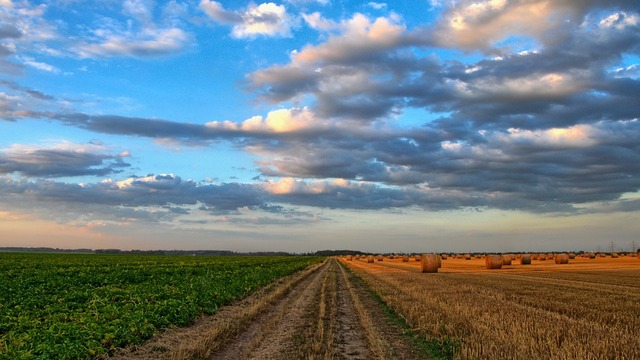 Uskoro novi natječaji za mjere Programa ruralnog razvoja