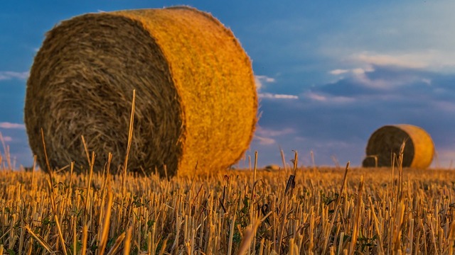 Usvojena Deklaracija drugog Hrvatskog ruralnog parlamenta
