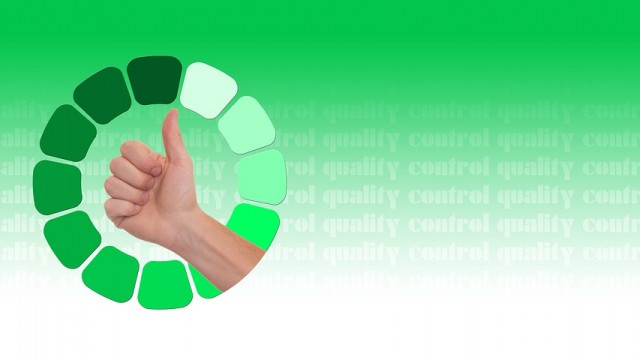 Interni auditi u regionalnim samoupravama po međunarodnoj normi  ISO 9001:2015