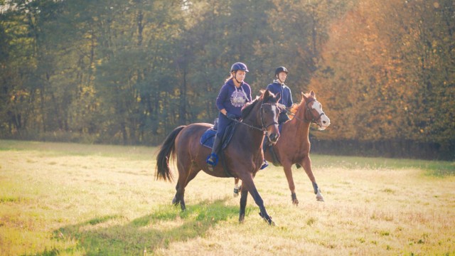 FINALE NAJ EU PROJEKTA 2022: RIDE&BIKE II za očuvanje prirodne i kulturne ponude kroz aktivni turizam - biciklizam i jahanje