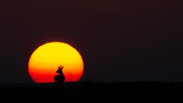 Otvorenje izložbe fotografija "Volim svoju županiju" u sklopu 25. Obrtičkog i gospodarskog sajma Koprivničko-križevačke županije
