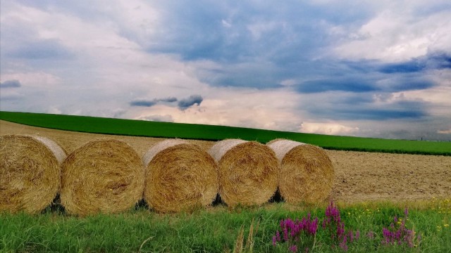 Najviše glasova za fotografiju iz Požeško-slavonske županije!
