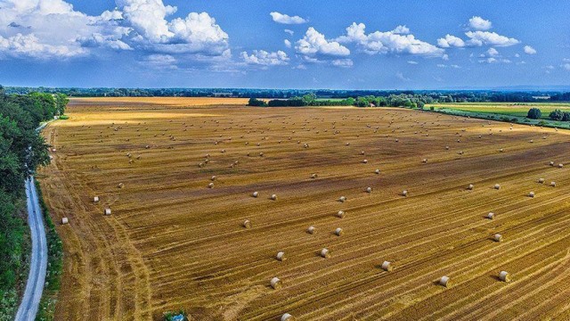 FINALE NAJ EU PROJEKTA 2022: Virovitičko-podravska županija - Prijavljen je projekt sustava javnog navodnjavanja Novi Gradac-Detkovac