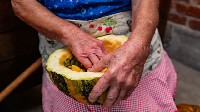 Varaždin prva postaja ovogodišnje putujuće izložbe "Volim svoju županiju"