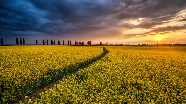 Izložba "Volim svoju županiju" stiže u Osijek